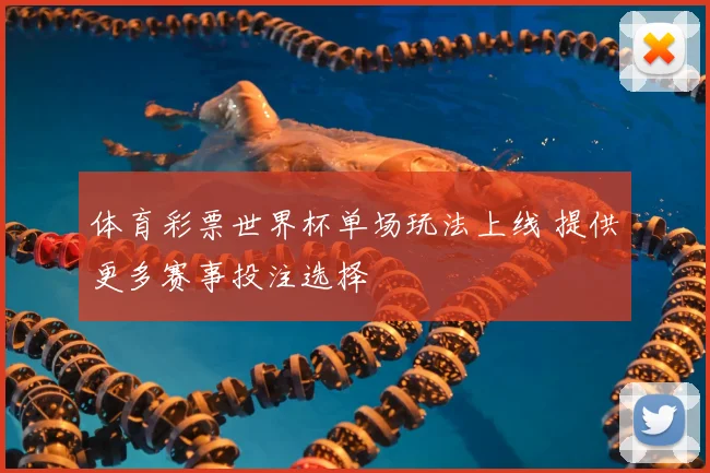 体育彩票世界杯单场玩法上线 提供更多赛事投注选择